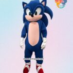 Sonic the hedgehog Character Mascot Costume Buy or rent costume